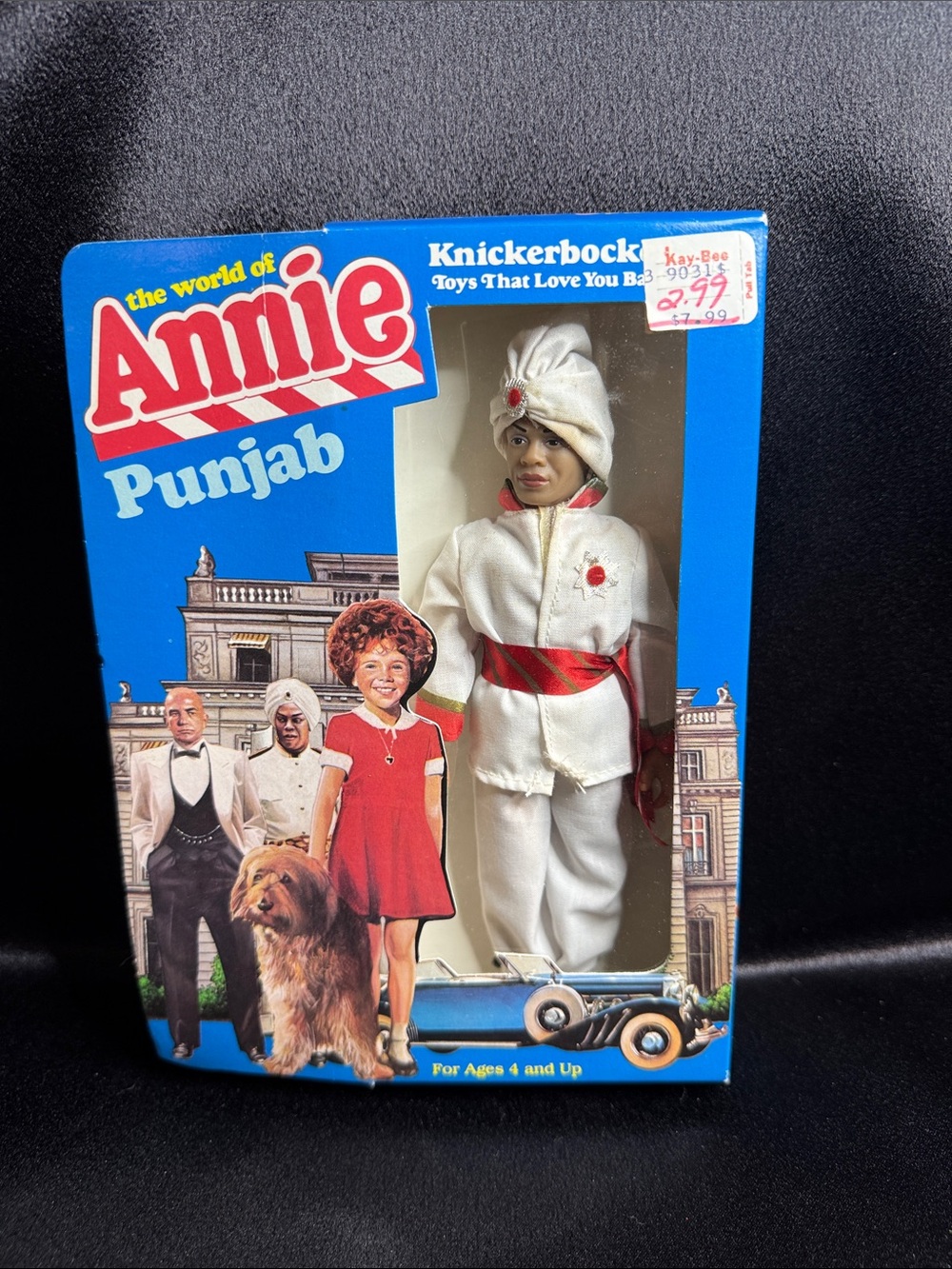 The World of Annie Punjab-Knickerbocker